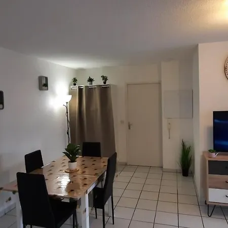 Apartament T3 Entierement Renove - 5 Couchages Lourdes